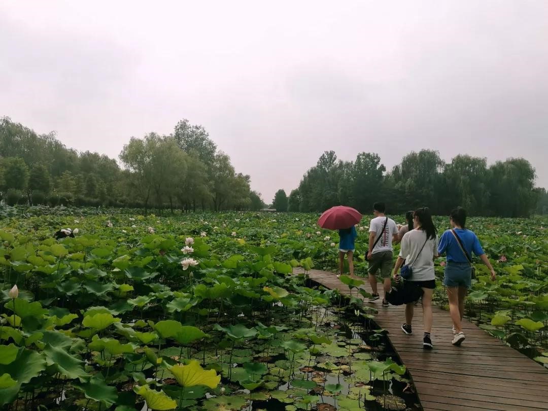 bwin必赢登录入口